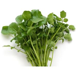 Hạt giống cải xoong - Ảnh 1